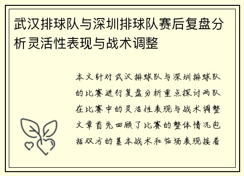 武汉排球队与深圳排球队赛后复盘分析灵活性表现与战术调整
